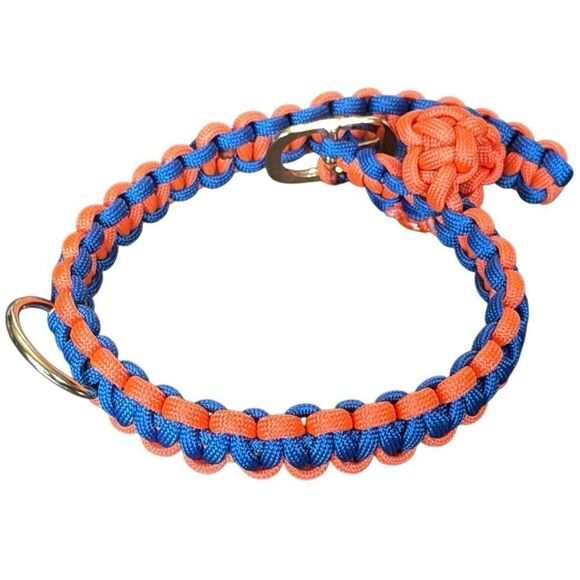 Vibrant Orange and Blue Dog Collar - Picture 7 of 10